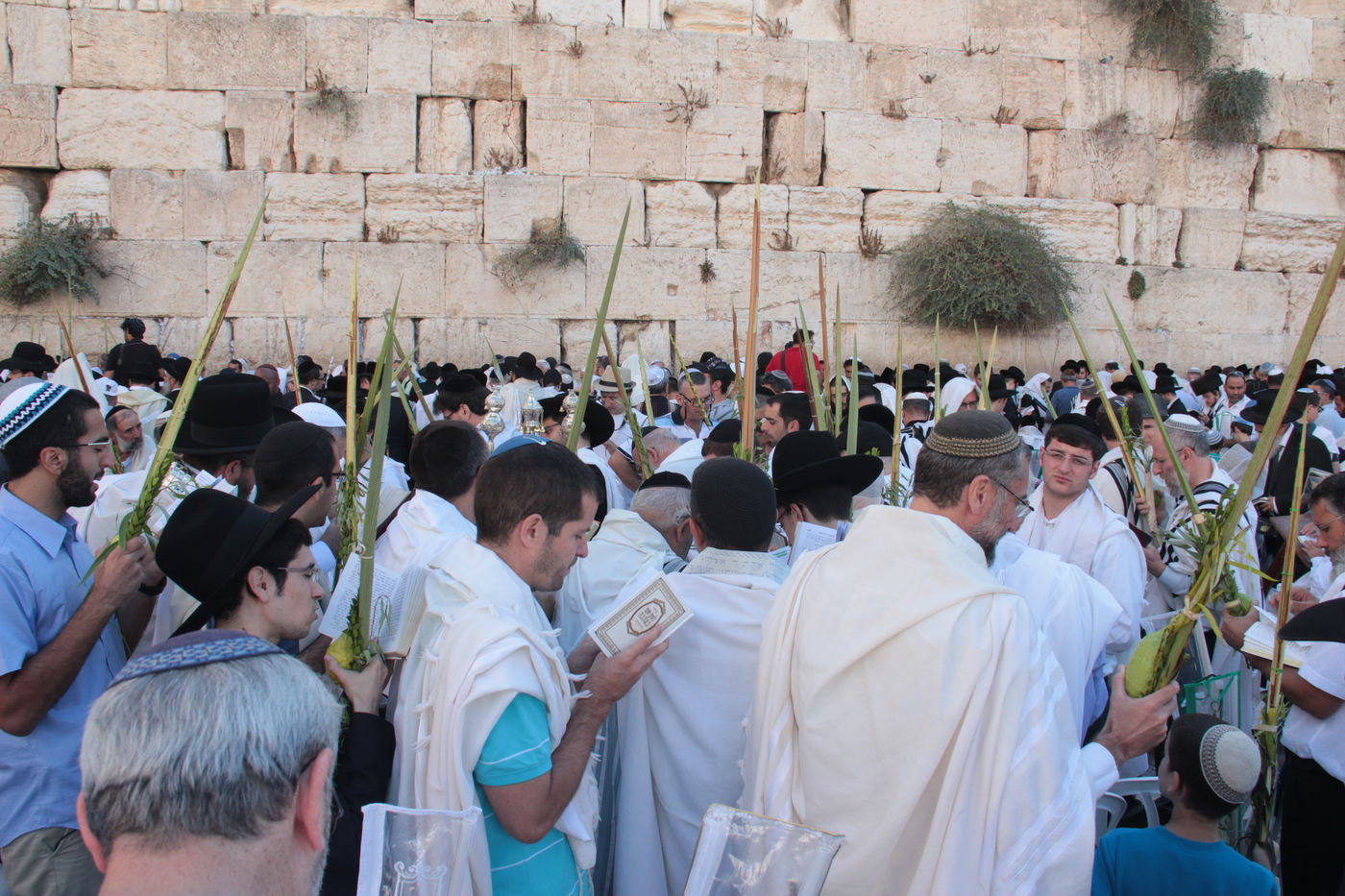 30 אלף איש בברכת כהנים • וידאו וגלריה
