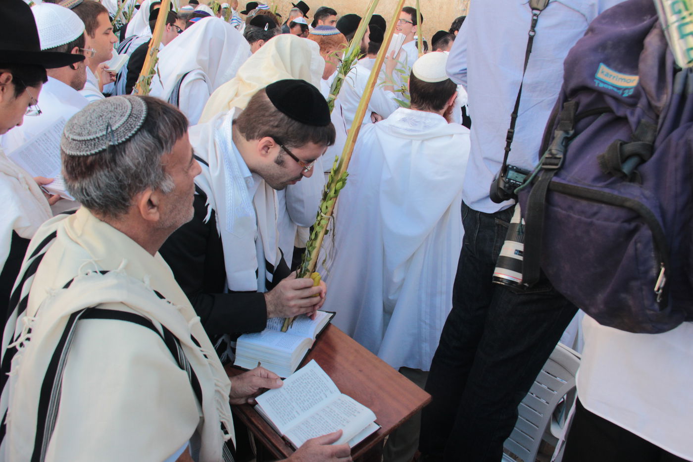 30 אלף איש בברכת כהנים • וידאו וגלריה