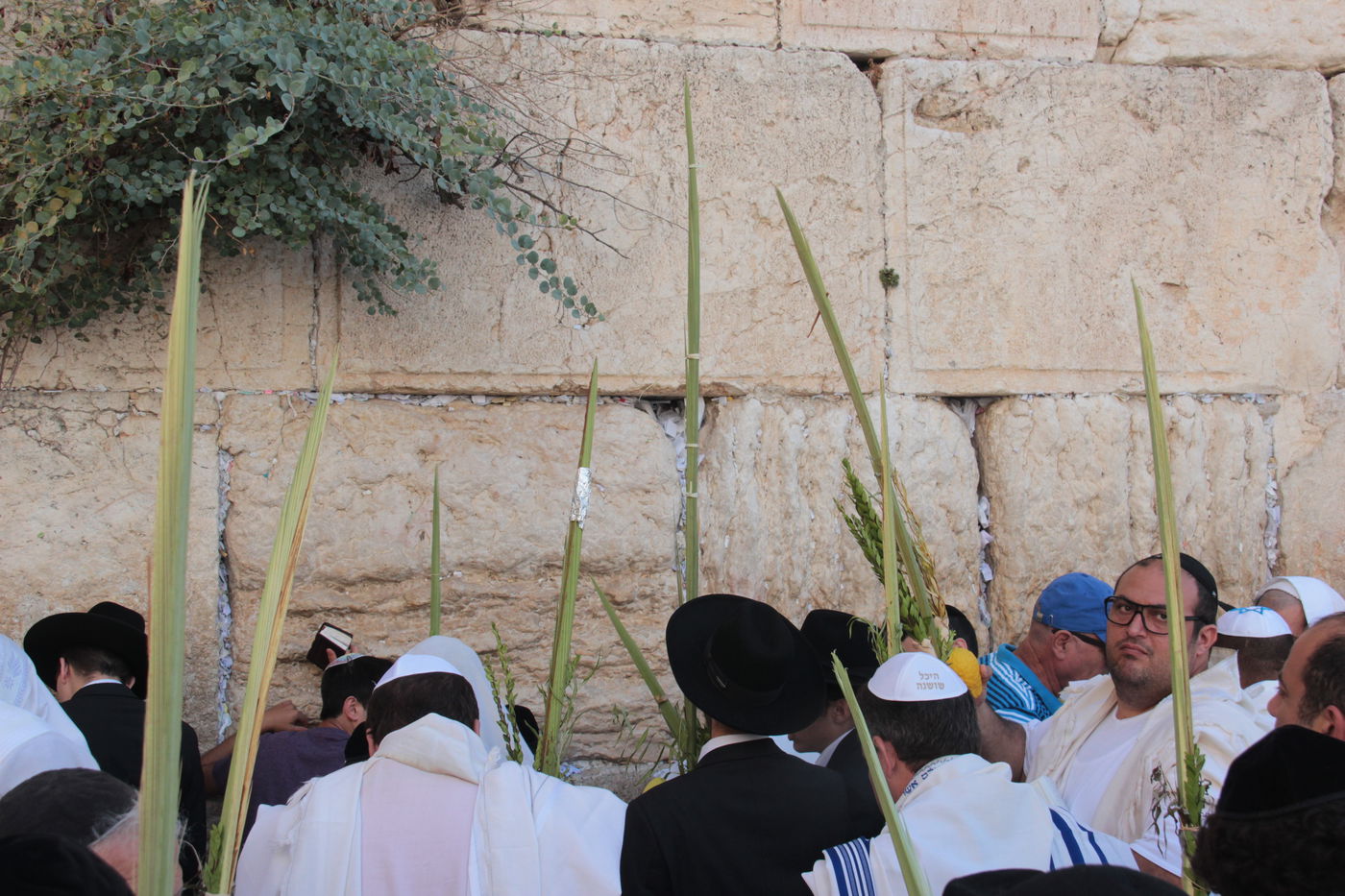 30 אלף איש בברכת כהנים • וידאו וגלריה