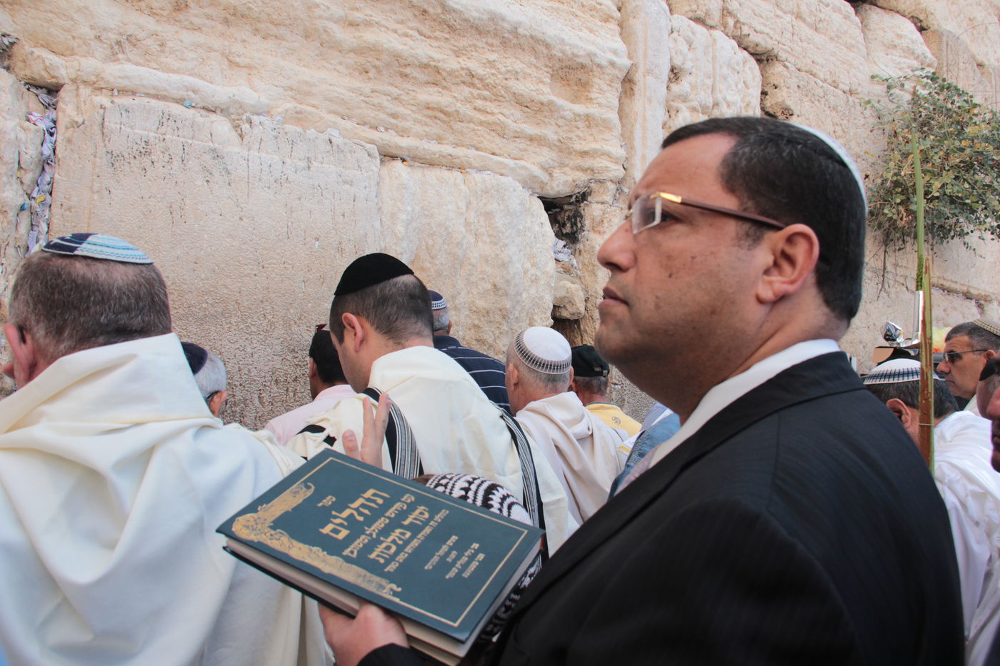 30 אלף איש בברכת כהנים • וידאו וגלריה