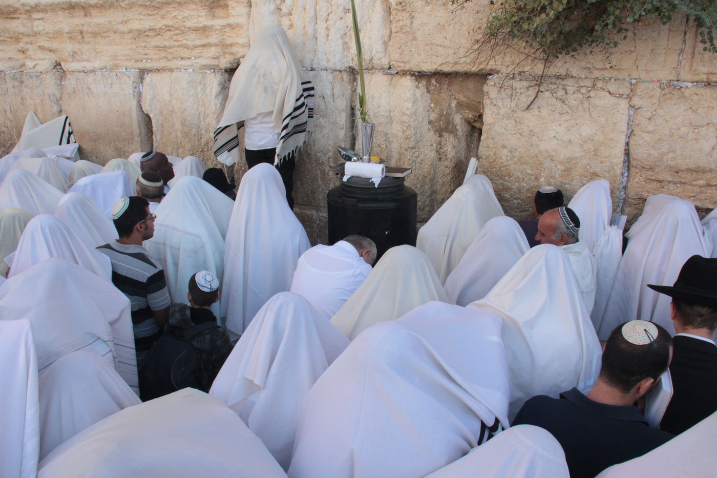 30 אלף איש בברכת כהנים • וידאו וגלריה