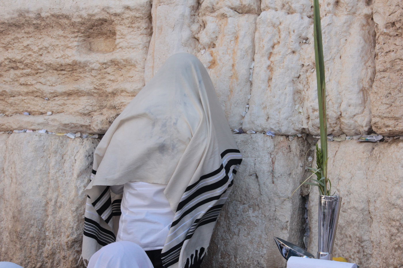 30 אלף איש בברכת כהנים • וידאו וגלריה