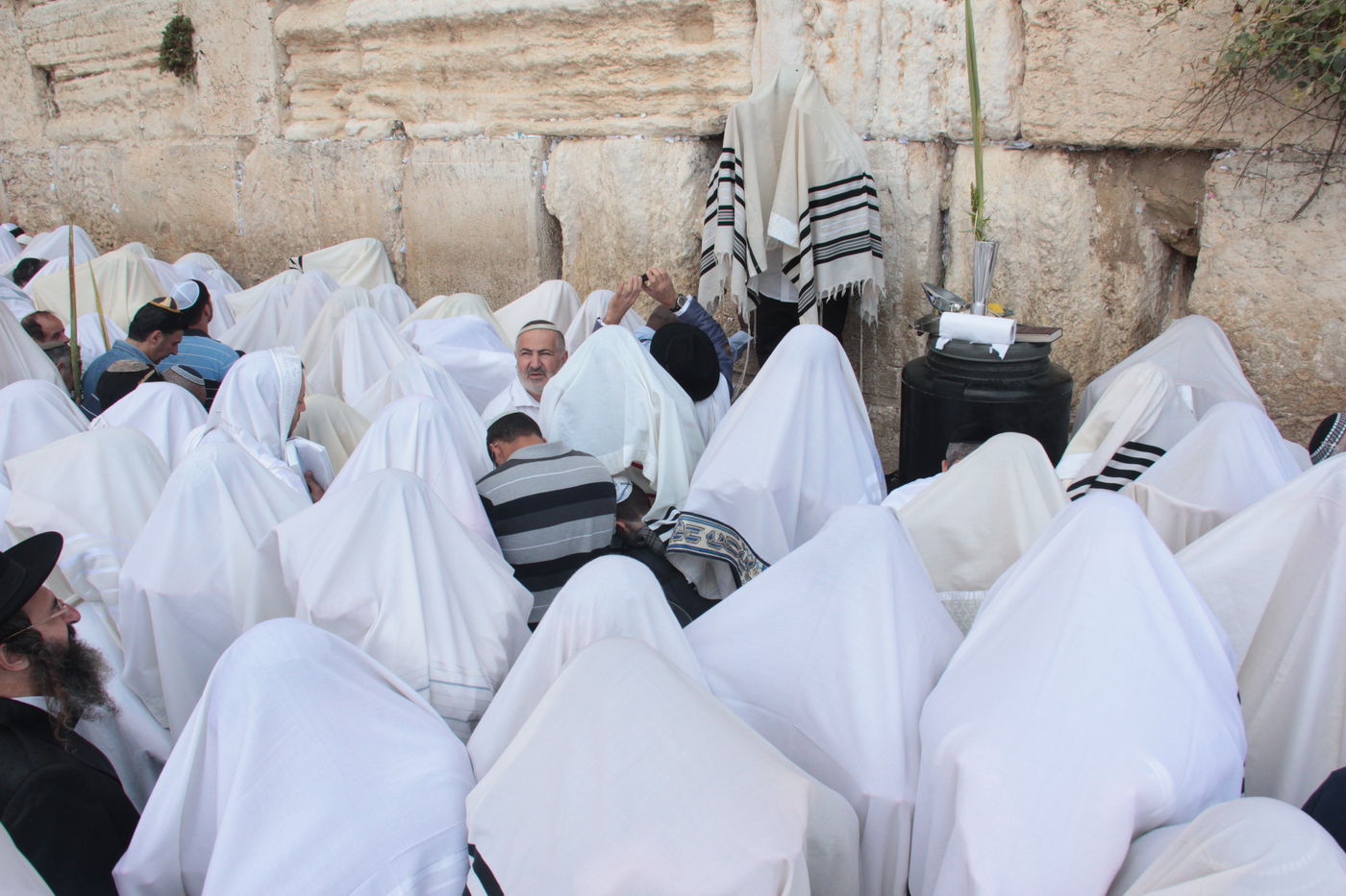 30 אלף איש בברכת כהנים • וידאו וגלריה