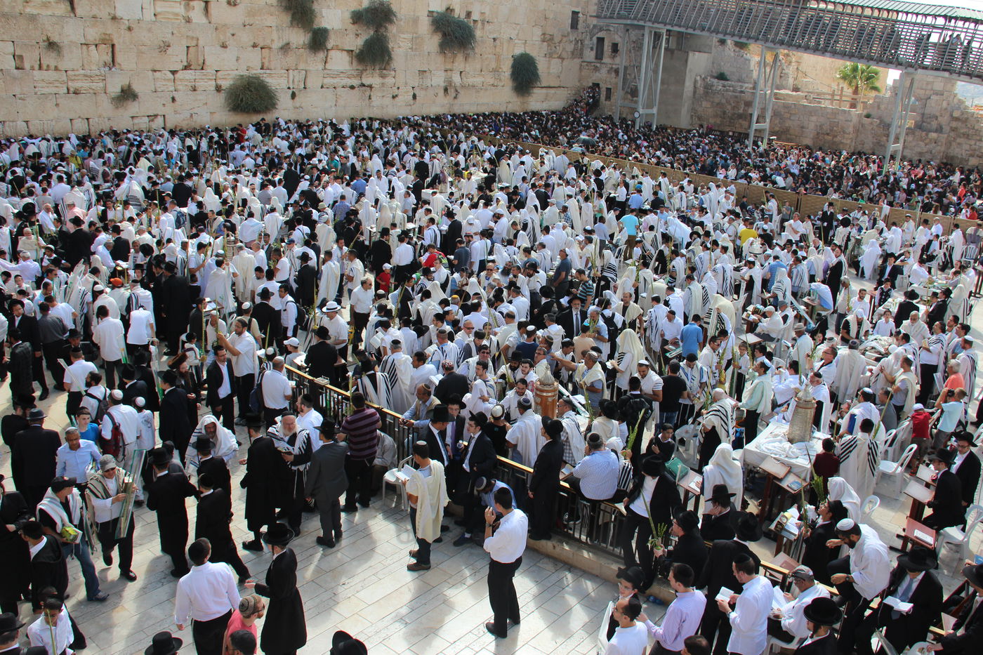 30 אלף איש בברכת כהנים • וידאו וגלריה