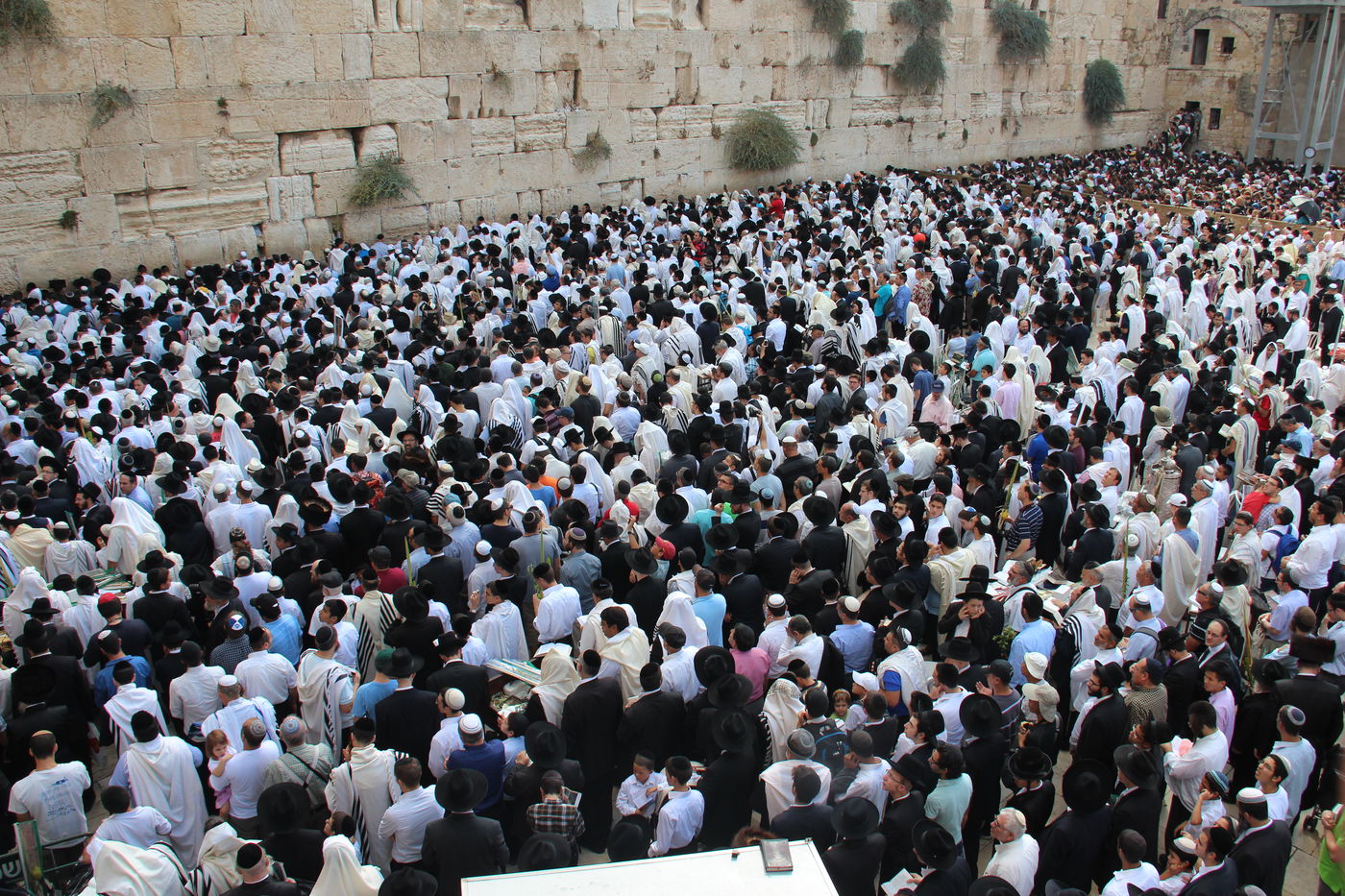 30 אלף איש בברכת כהנים • וידאו וגלריה