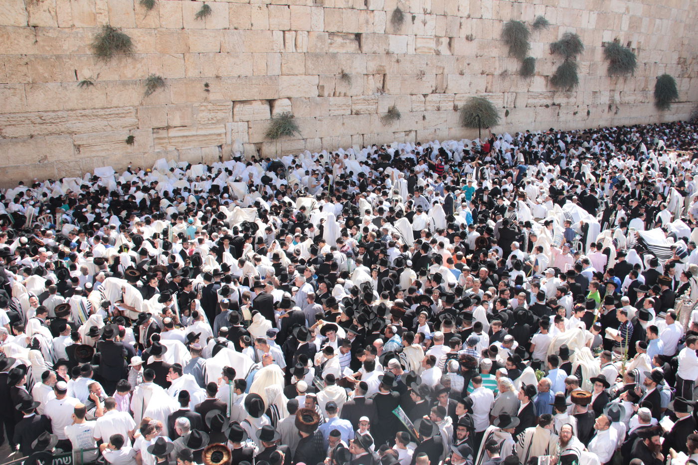 30 אלף איש בברכת כהנים • וידאו וגלריה