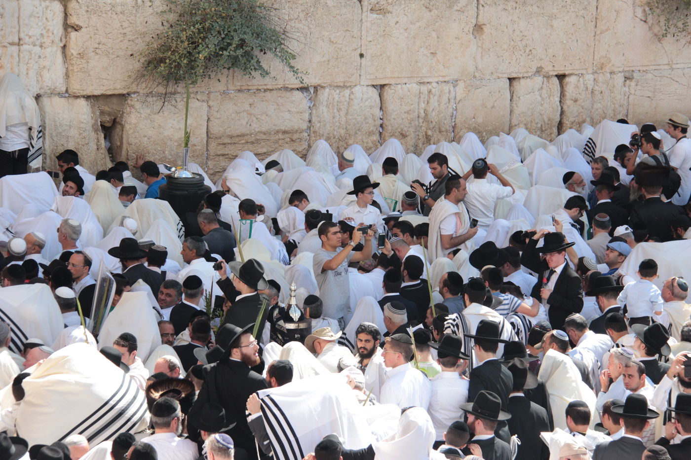 30 אלף איש בברכת כהנים • וידאו וגלריה