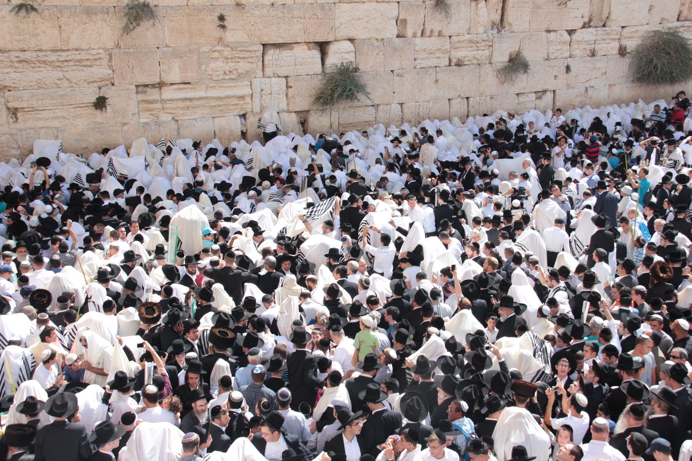 30 אלף איש בברכת כהנים • וידאו וגלריה