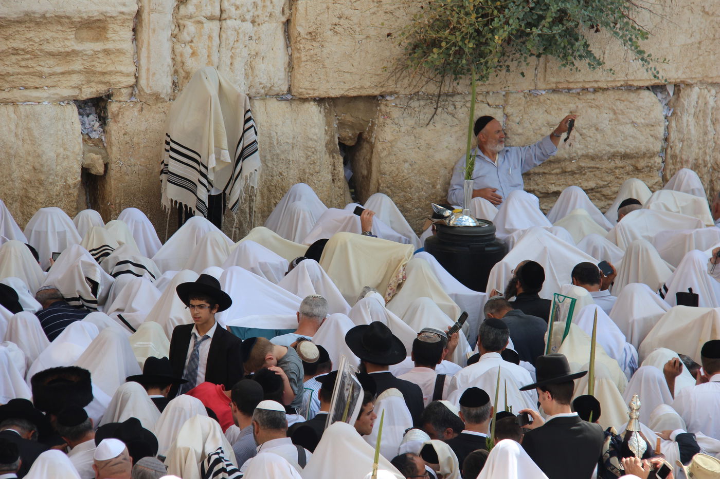 30 אלף איש בברכת כהנים • וידאו וגלריה