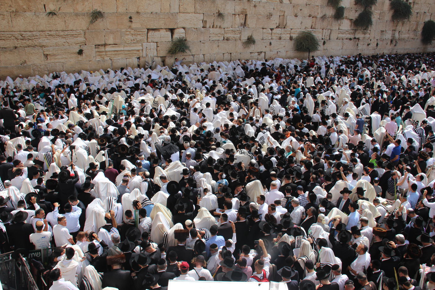 30 אלף איש בברכת כהנים • וידאו וגלריה