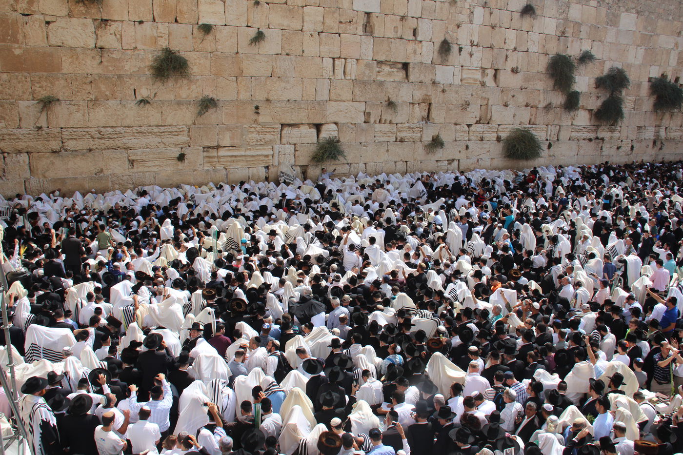 30 אלף איש בברכת כהנים • וידאו וגלריה