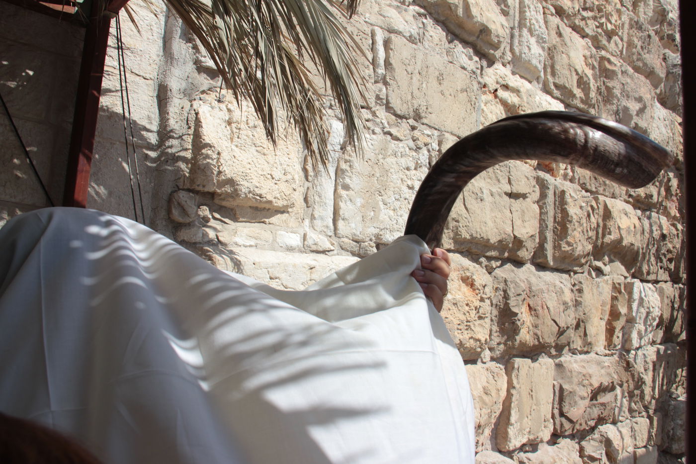 30 אלף איש בברכת כהנים • וידאו וגלריה