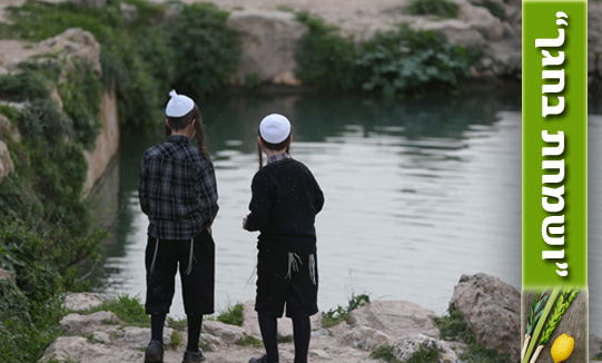 3 מעיינות מהממים באזור ירושלים