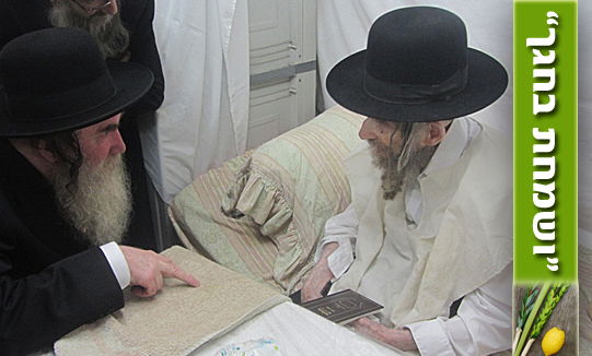 הרב גרוס אצל הגראי"ל שטיינמן