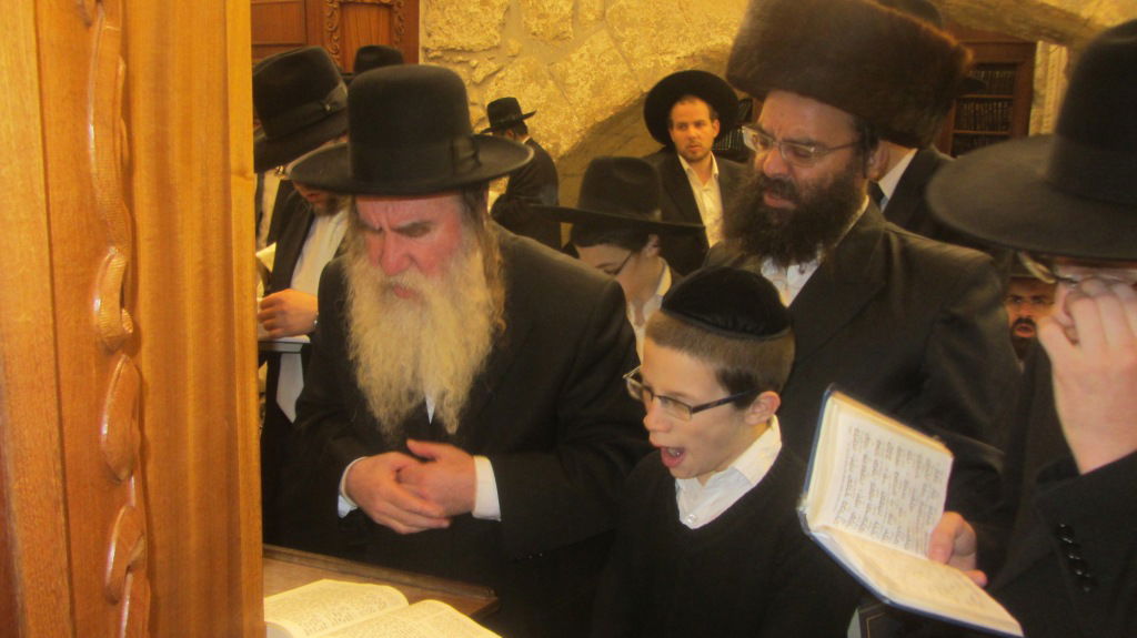 ביקורי החג של הרב מרדכי גרוס • גלריה