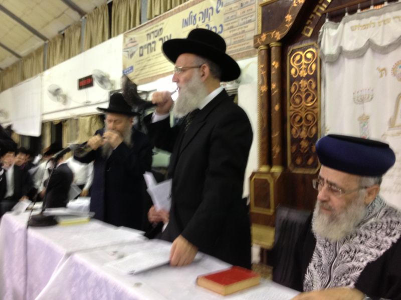 המונים מתחננים: רפואה שלמה למרן