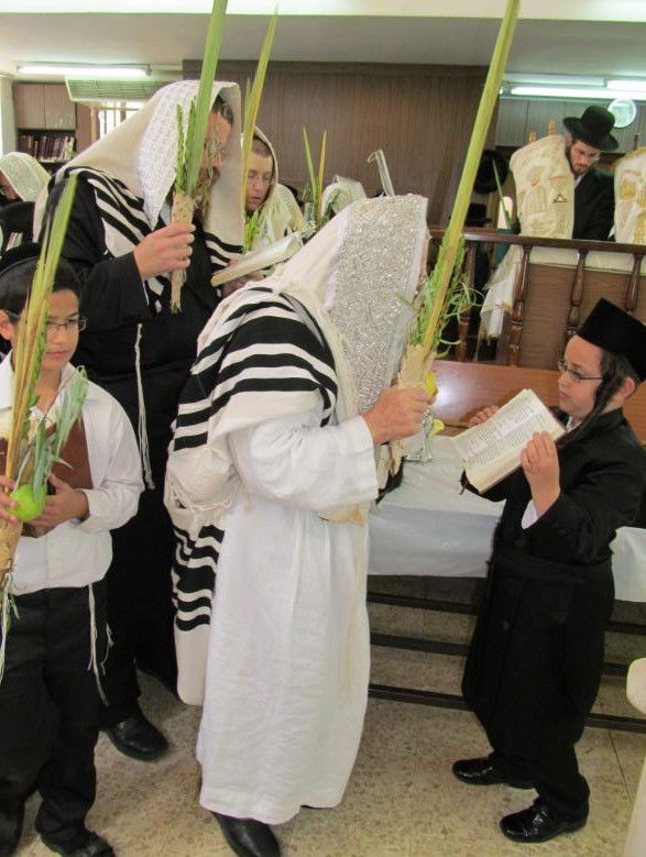 סוכות, גרסת ספינקא בני ברק • גלריה