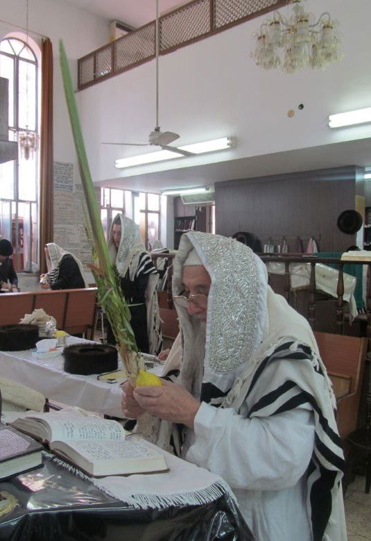 סוכות, גרסת ספינקא בני ברק • גלריה