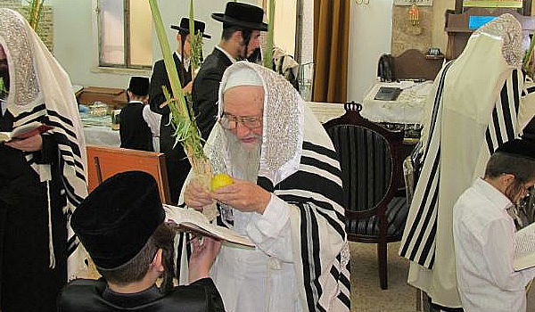 סוכות, גרסת ספינקא בני ברק • גלריה