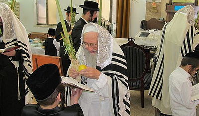 סוכות, גרסת ספינקא בני ברק • גלריה