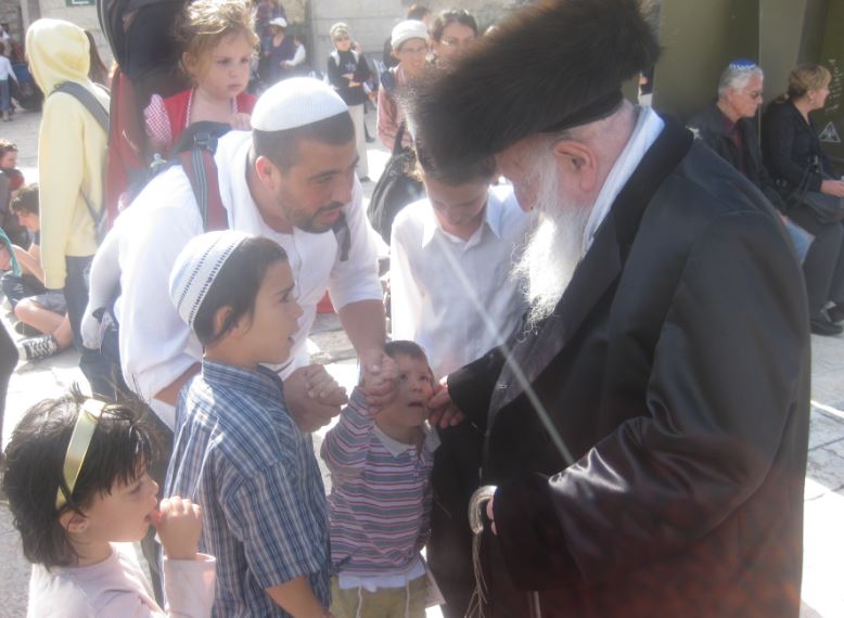 סוכות, גרסת ספינקא בני ברק • גלריה