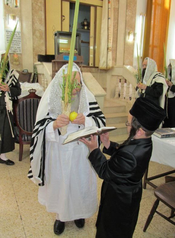 סוכות, גרסת ספינקא בני ברק • גלריה