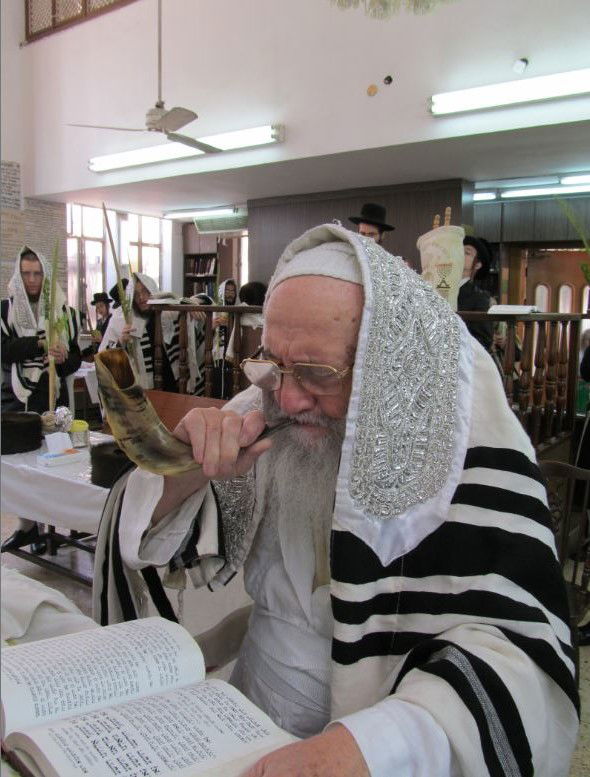 סוכות, גרסת ספינקא בני ברק • גלריה