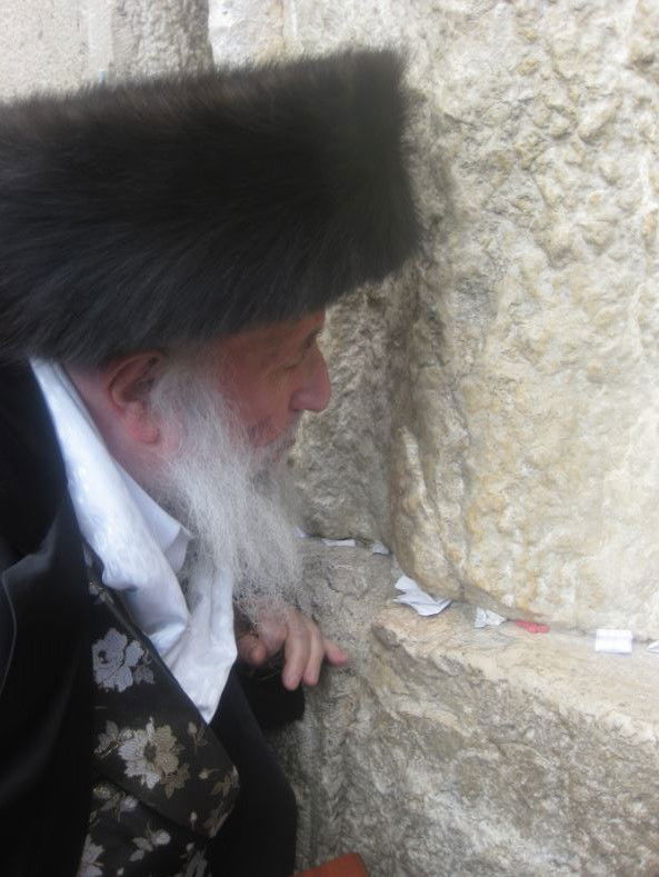 סוכות, גרסת ספינקא בני ברק • גלריה