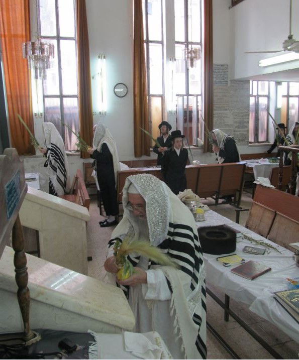 סוכות, גרסת ספינקא בני ברק • גלריה