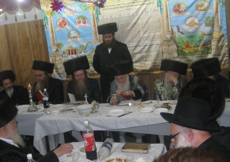 סוכות, גרסת ספינקא בני ברק • גלריה