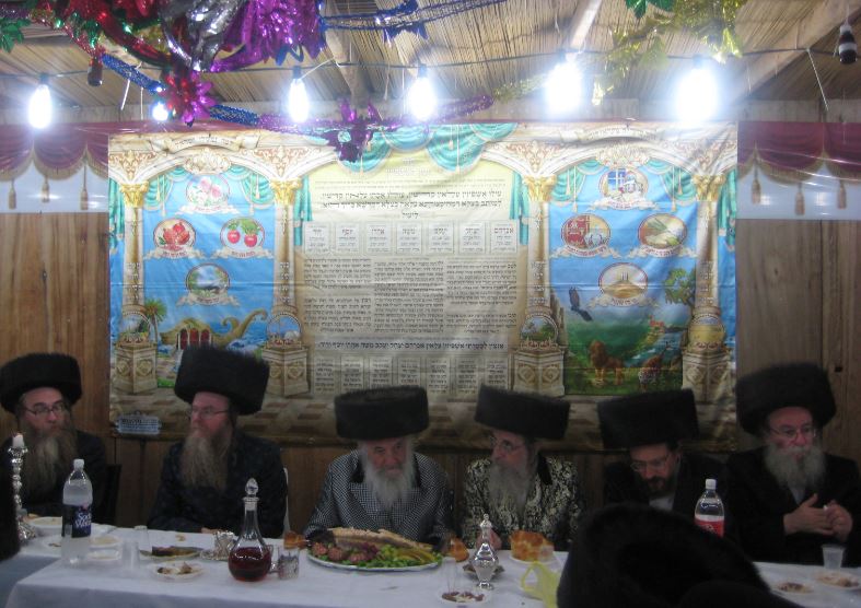 סוכות, גרסת ספינקא בני ברק • גלריה