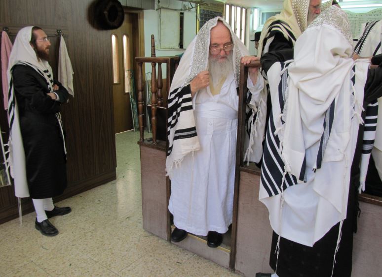 סוכות, גרסת ספינקא בני ברק • גלריה