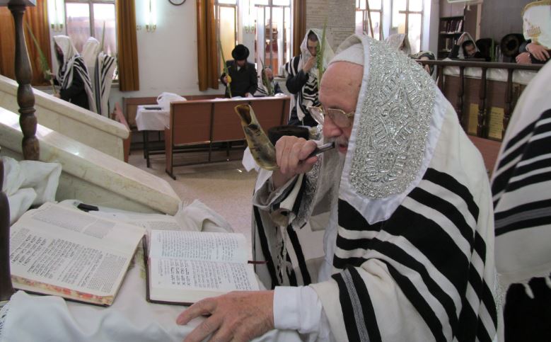 סוכות, גרסת ספינקא בני ברק • גלריה