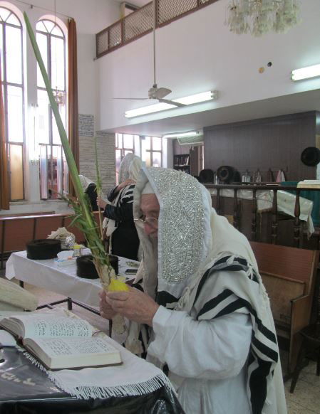 סוכות, גרסת ספינקא בני ברק • גלריה
