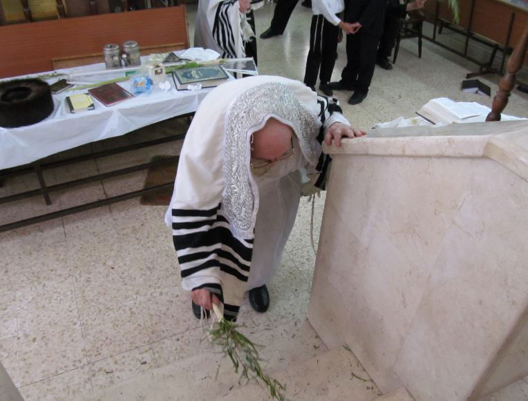 סוכות, גרסת ספינקא בני ברק • גלריה