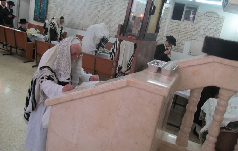 סוכות, גרסת ספינקא בני ברק • גלריה