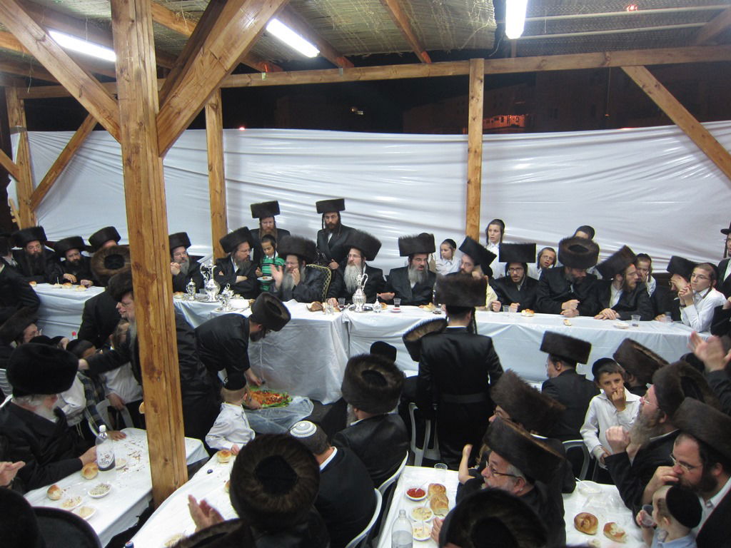 גלריה: "ושמחת בחגך" בנדבורנה עם האחים האדמו"רים