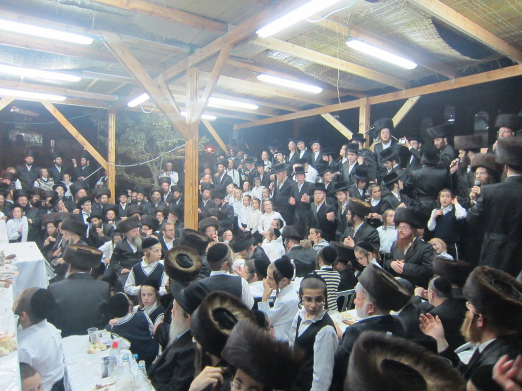 גלריה: "ושמחת בחגך" בנדבורנה עם האחים האדמו"רים