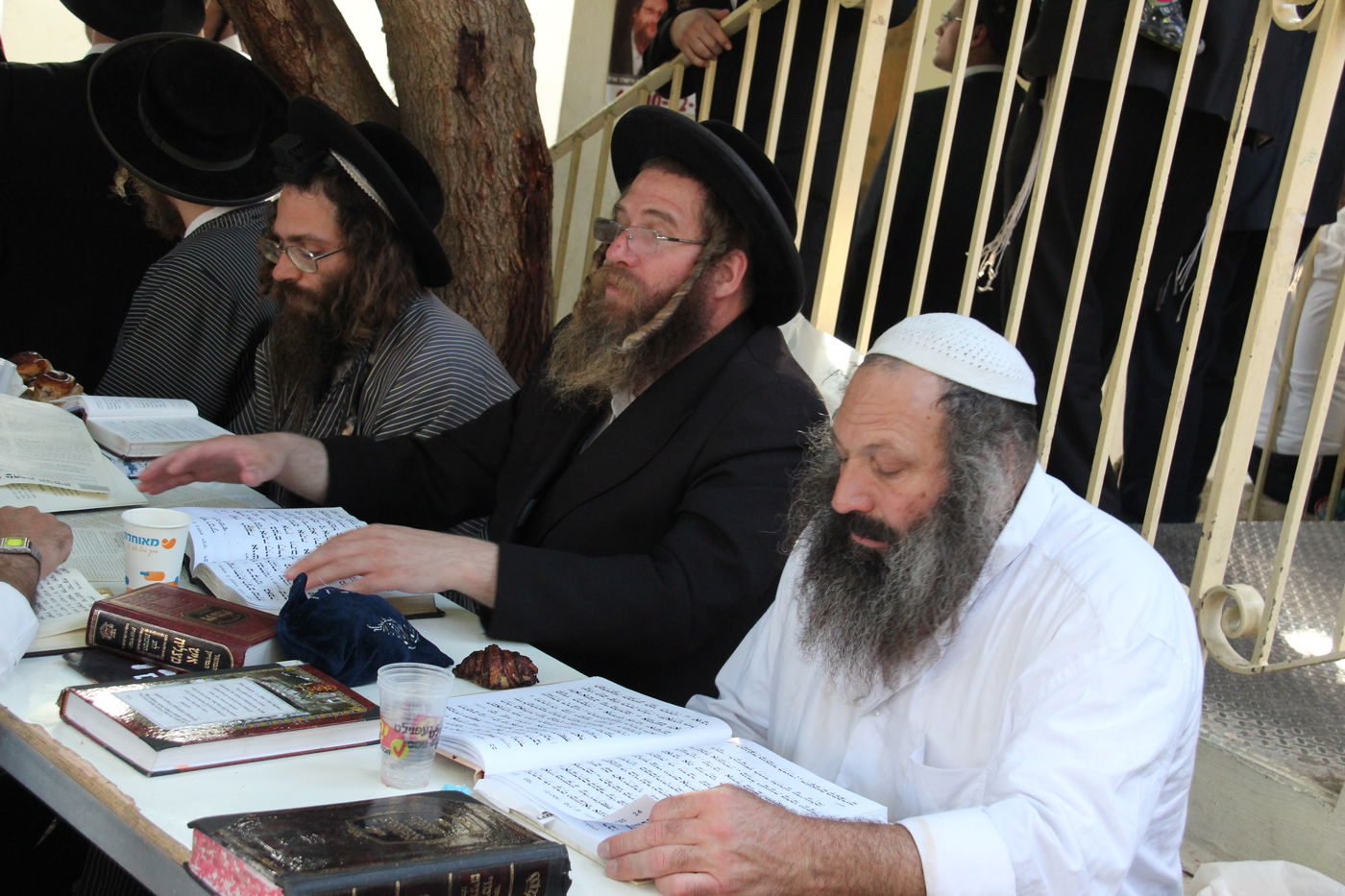 הילולת שמעון הצדיק: אלפים העתירו על הגרח"ע יוסף