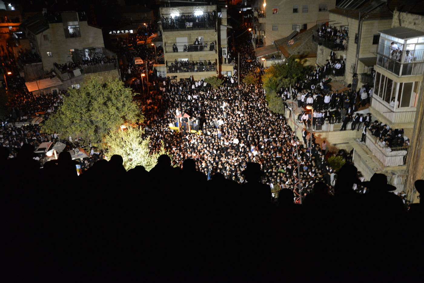 מסע הלוויה: מיליון נפרדים, מאה תמונות • גלריה