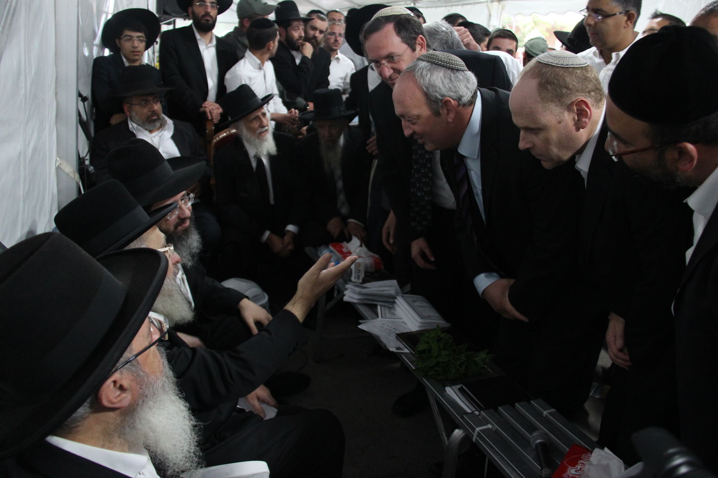 אלפי מנחמים, מאה תמונות • גלריה