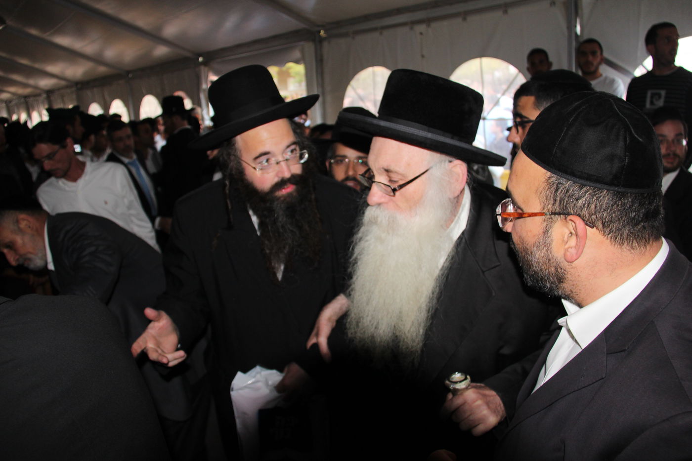 אלפי מנחמים, מאה תמונות • גלריה