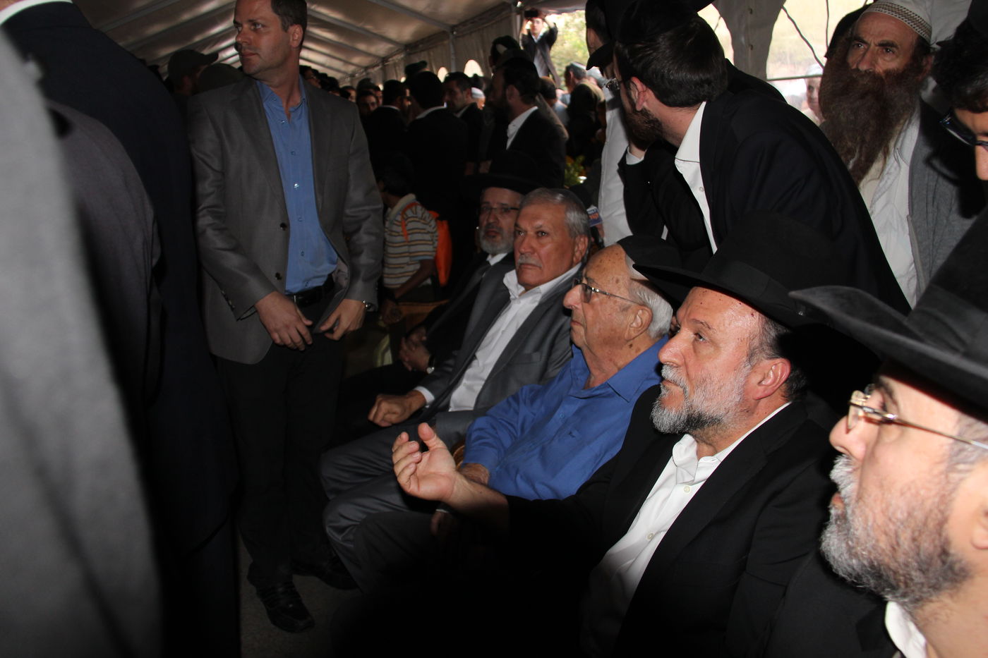 אלפי מנחמים, מאה תמונות • גלריה