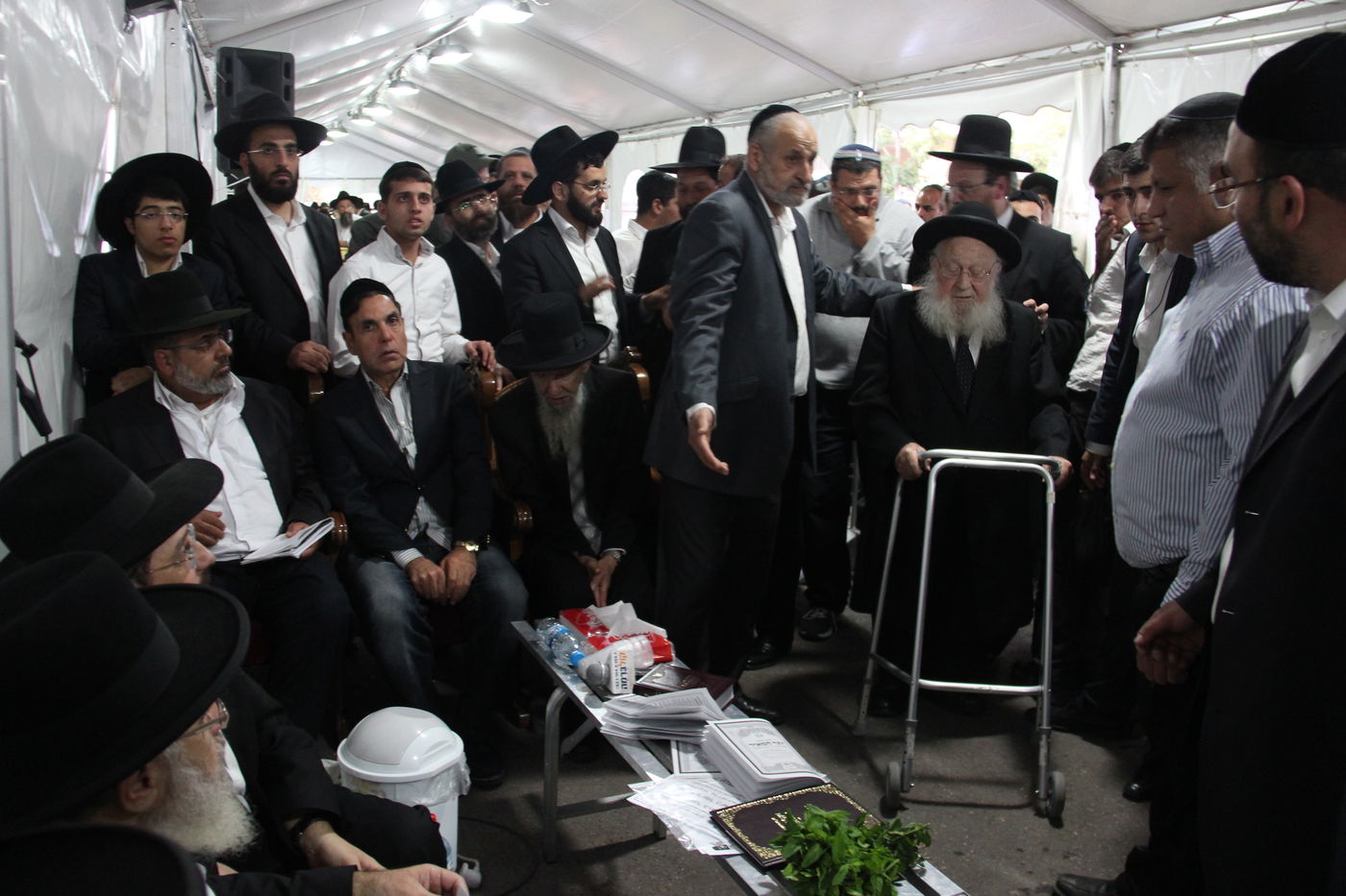 אלפי מנחמים, מאה תמונות • גלריה