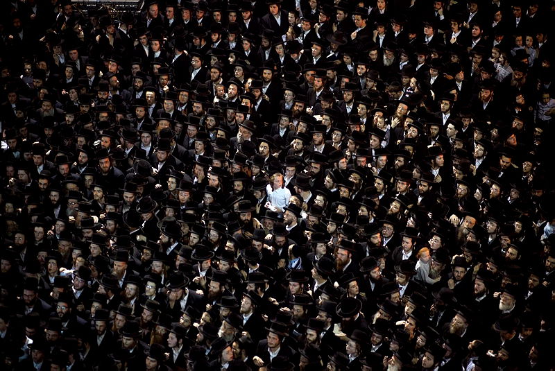 חסידי ויז'ניץ