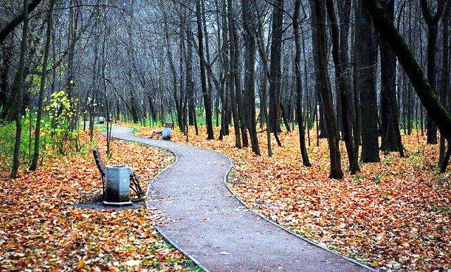 השלכת בפארק סקולניקי