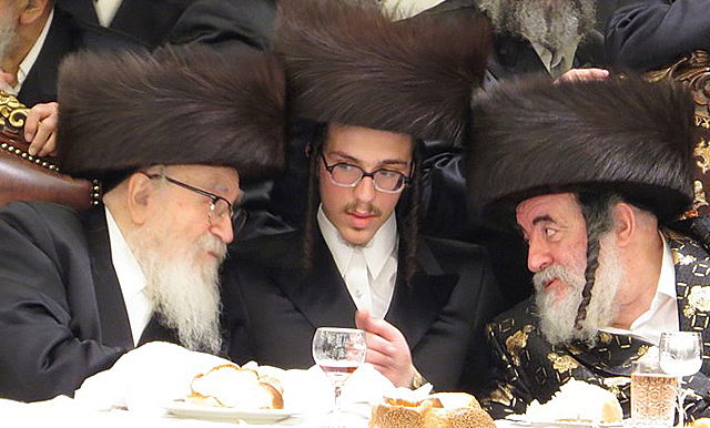 שבע ברכות לנכדי האדמו"רים מויז'ניץ ומסקווירא • גלריה