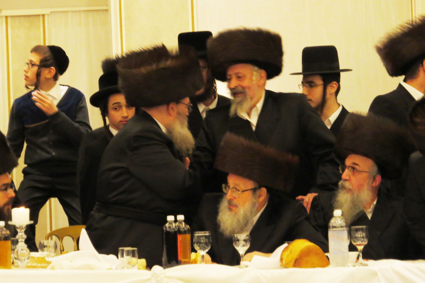 שבע ברכות לנכדי האדמו"רים מויז'ניץ ומסקווירא • גלריה