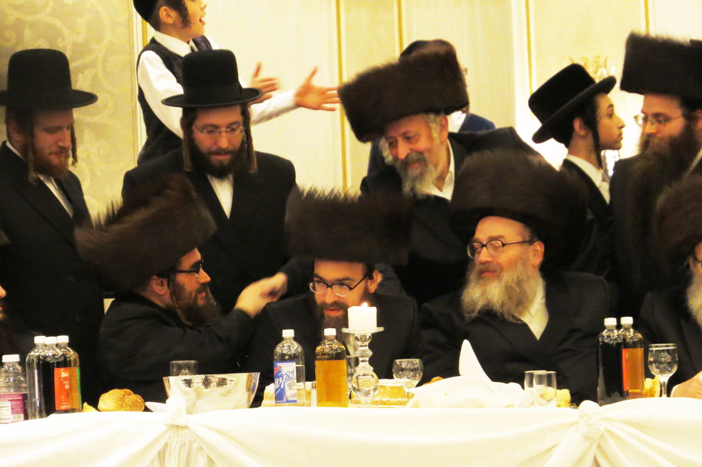 שבע ברכות לנכדי האדמו"רים מויז'ניץ ומסקווירא • גלריה