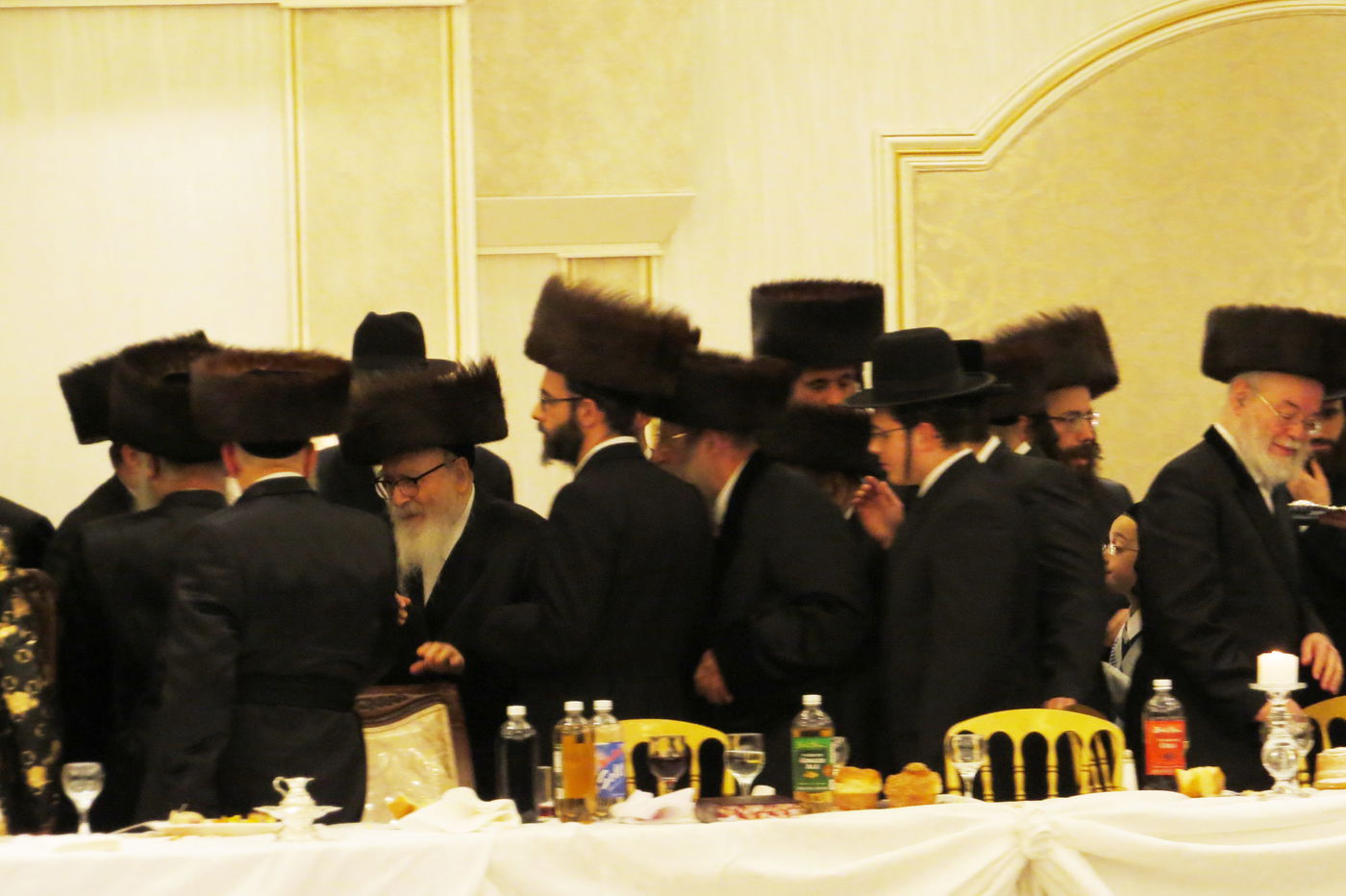 שבע ברכות לנכדי האדמו"רים מויז'ניץ ומסקווירא • גלריה